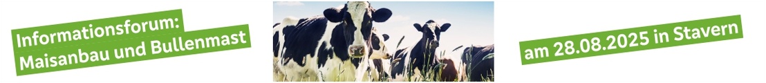 Informationsforum: Maisanbau und Bullenmast