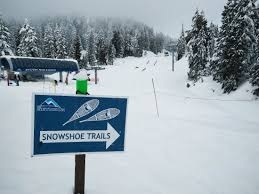 街坊會Snowshoeing @ Mount Seymour