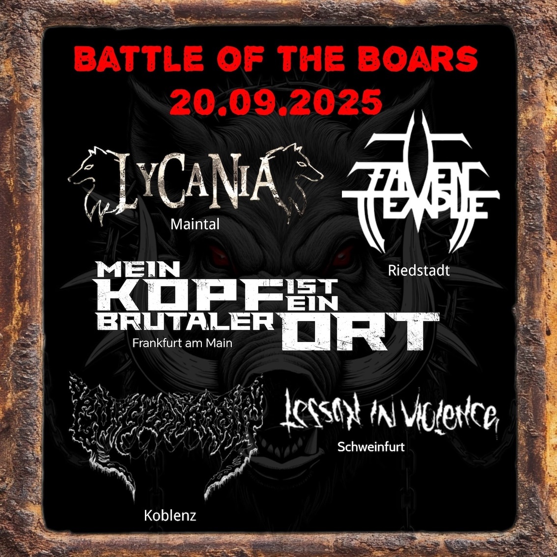 Battle of the Boars