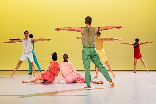 In C - Sasha Waltz & Guests meets tanzmainz