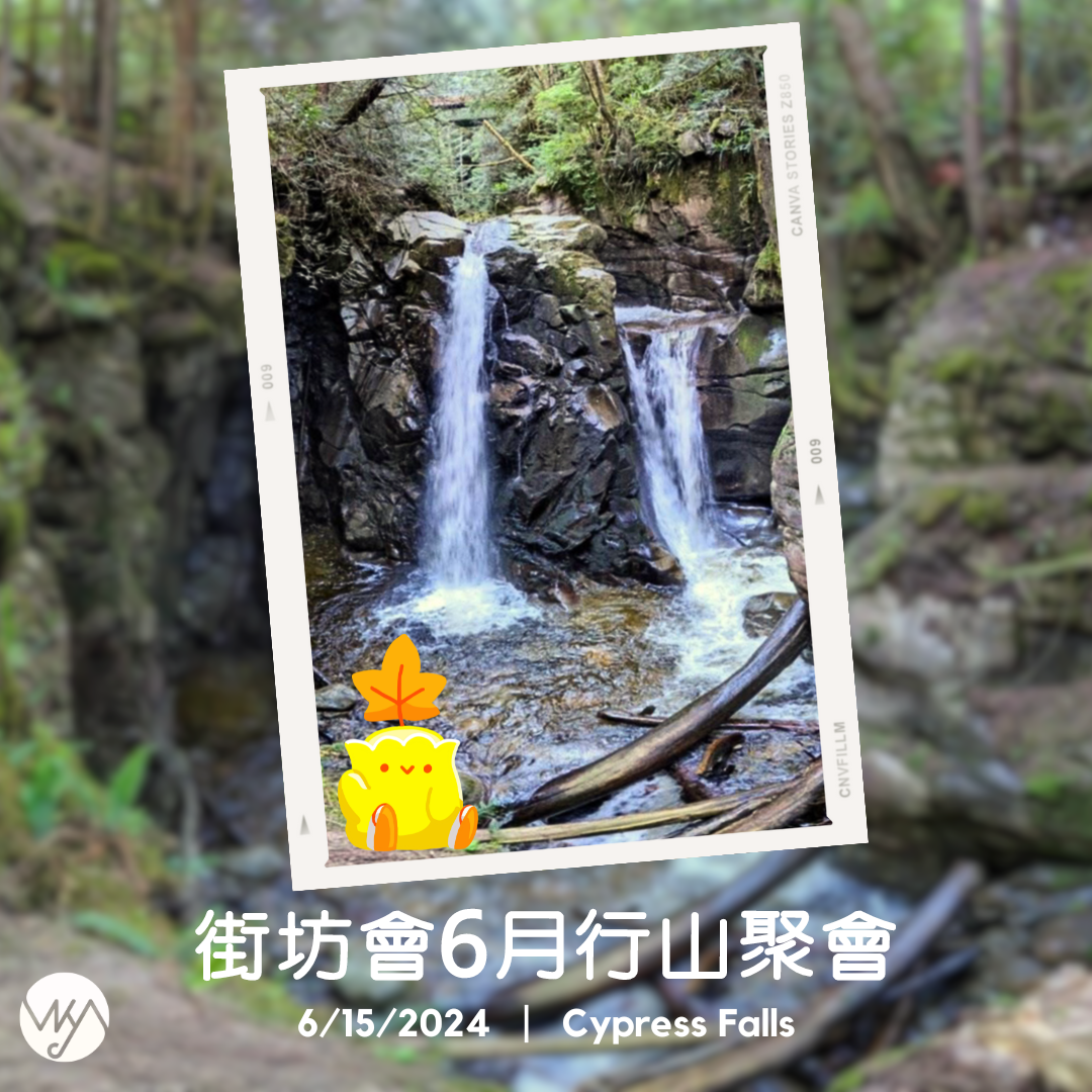 街坊會6月遠足活動 Hiking with VKA June