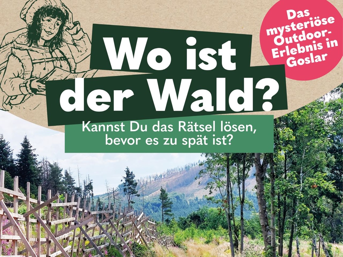 Wo ist der Wald?