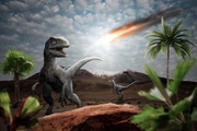 Dinosaurier - die Geschichte des Überlebens