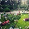Martyna Poznanska: Garden of the Earthly Delights