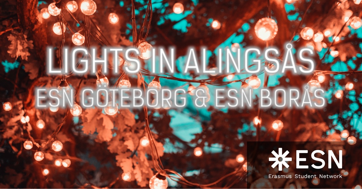 ESN visits Lights in Alingsås