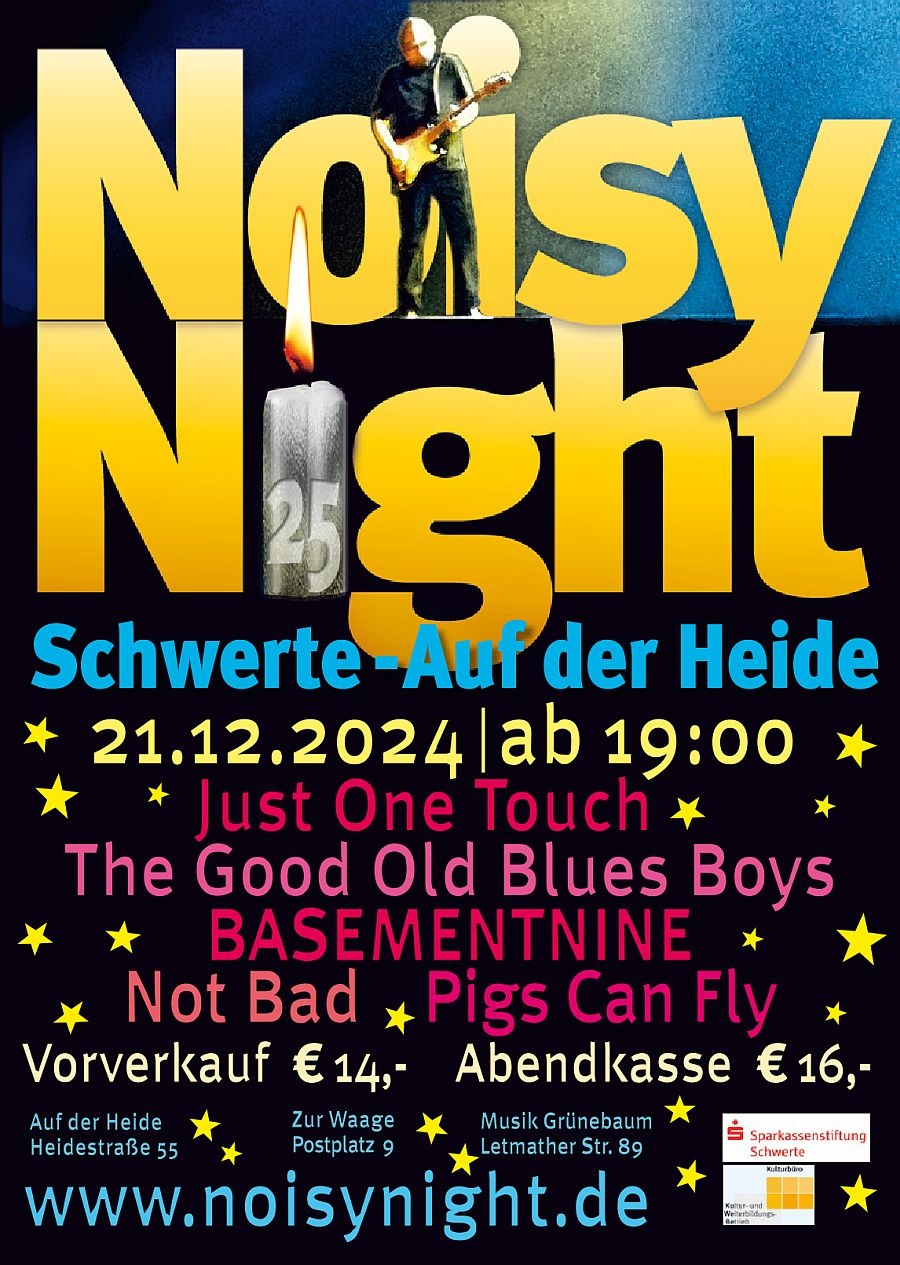 🎶 Noisy Night • Festival der Schwerter Musikszene