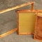 Bienen live erleben (Teil 2), 2. Termin