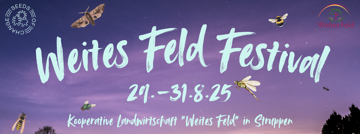 Weites Feld Festival (Sternenhof/Struppen)