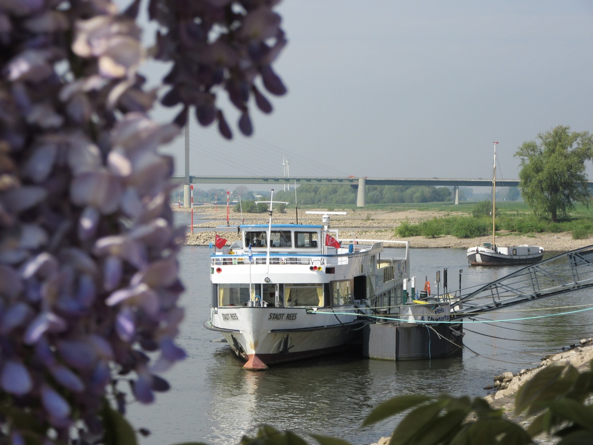 Geführte Radtour: Mit dem Schiff nach Emmerich, durch Montferland bis zur hohen Mark