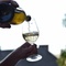 Weinprobe / 06.09.25