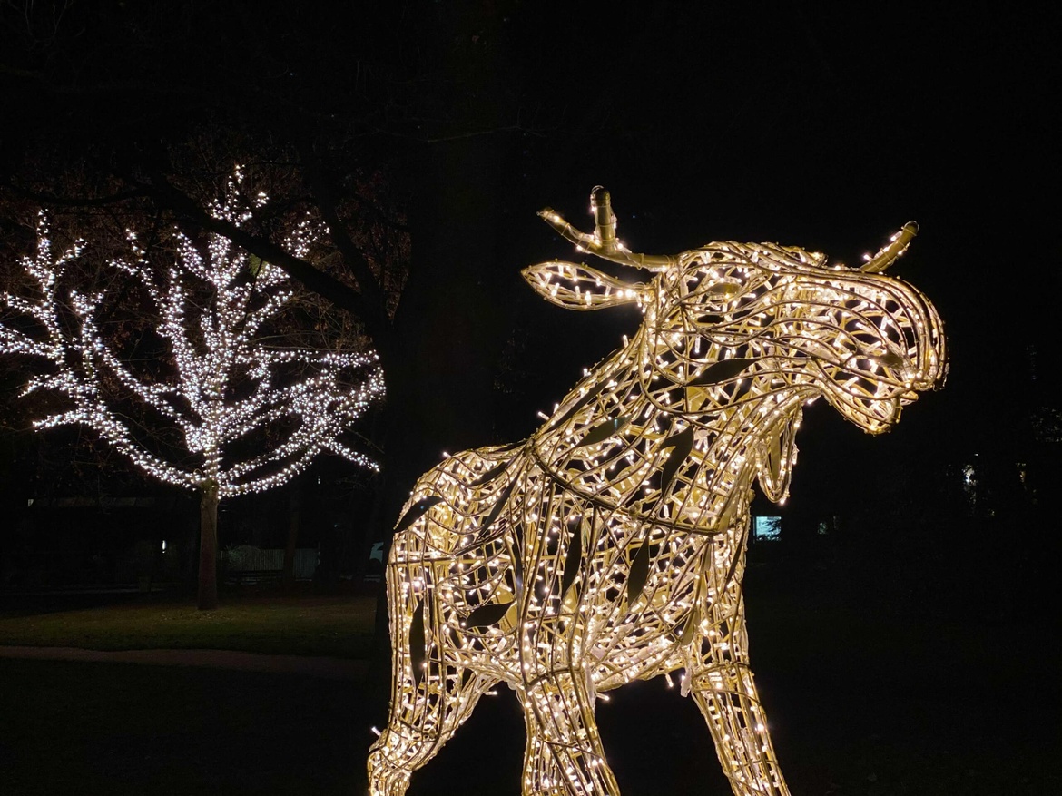 Öffentliche Lichterzauberführung