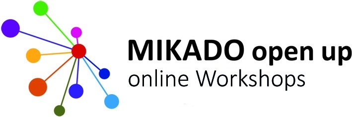 MIKADO open up Workshop: Finanzielle Grundbildung