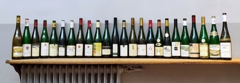 Nye hvide vine på Dortheas