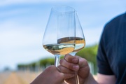 Fjordwein-Events