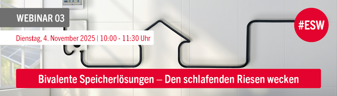 WEBINAR 03: Bivalente Speicherlösungen – Den schlafenden Riesen wecken