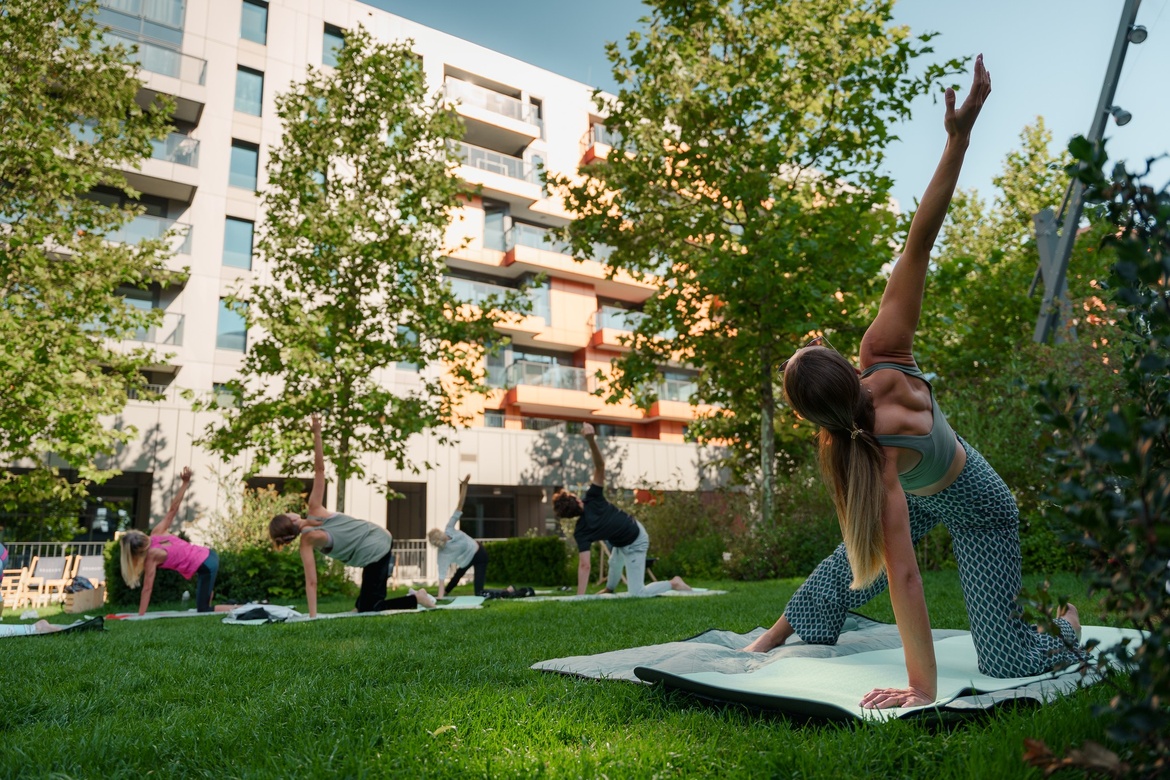 Joga na Brabanku