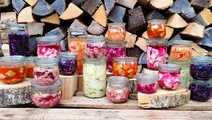 Erntedank - Gemüse & Obst fermentieren