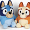 Bluey & Bingo