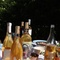 Orangevin fra Libanon – Vinsmagning på Dorthea's Bar  2. juli 2025 kl. 19.30