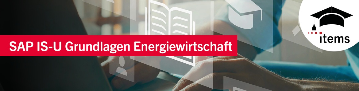SAP IS-U Grundlagen: Energiewirtschaft | Q4/25