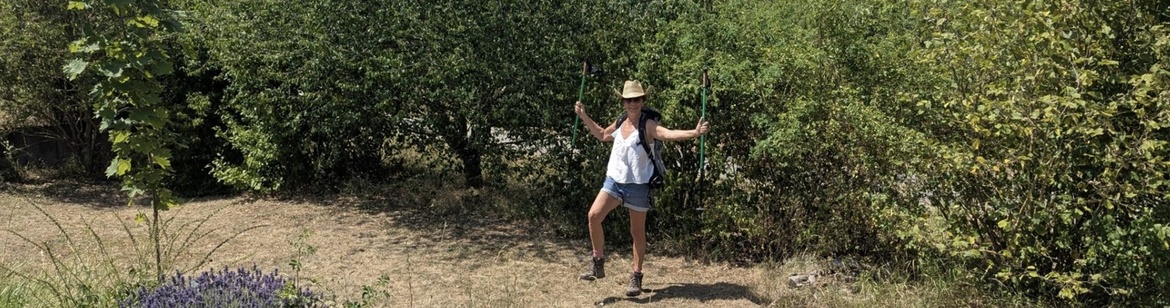 Wandern mit Susanne auf der Traumrunde Kitzingen-Sulzfeld