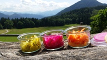 Bio-Gemüse natürlich fermentieren am Waginger See