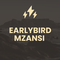 Earlybird Mzansi Ticket (both days)