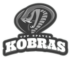 TSV Speyer Handball