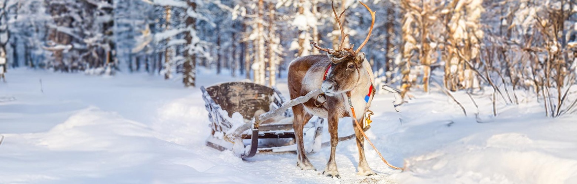 Reisevortrag Winterwunderland Finnisch-Lappland