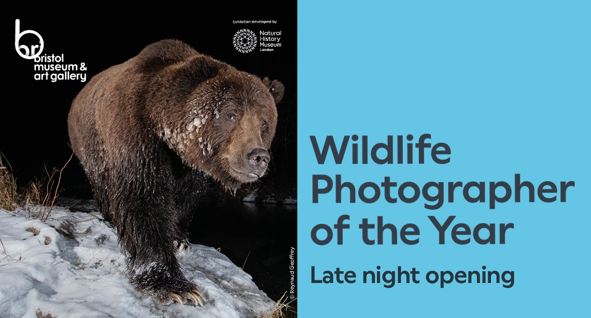 Bristol Museum Lates- Wildlife Photographer of the Year