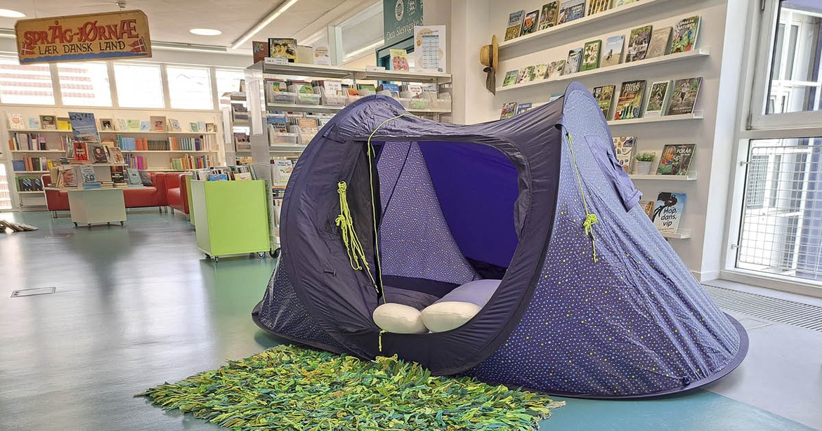 Læseaften: Camp på biblioteket efter lukketid! (i Flensborg)