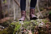 Pilzwanderung im Grünen Band